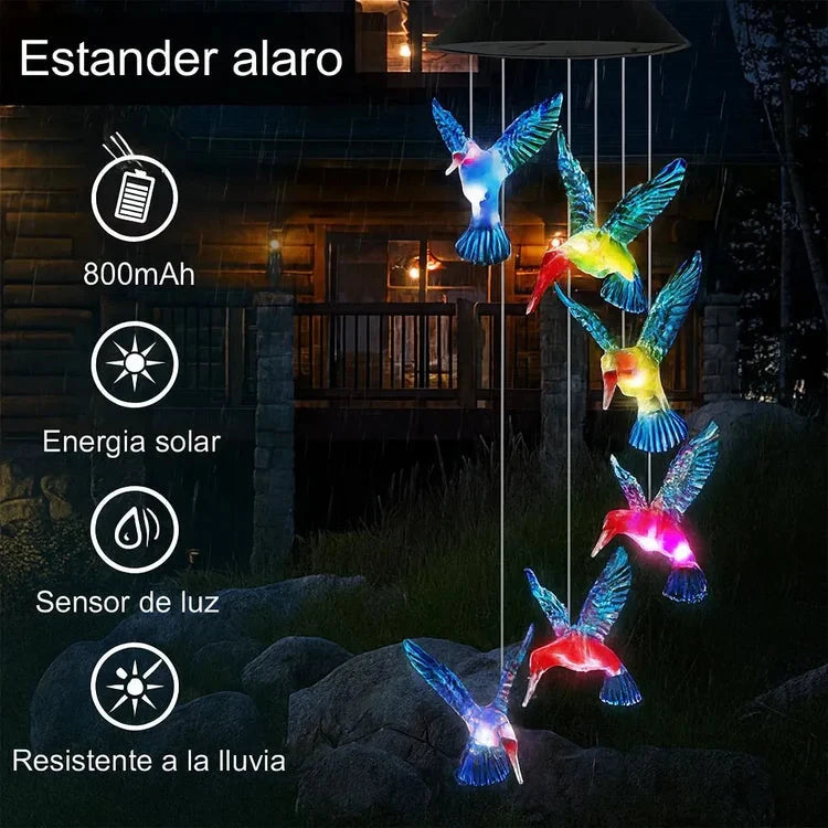 Campanillas Viento de Colibrí Luces LED Nova Esencia