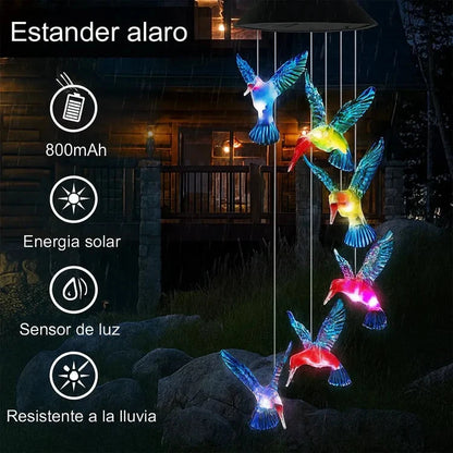 Campanillas Viento de Colibrí Luces LED Nova Esencia
